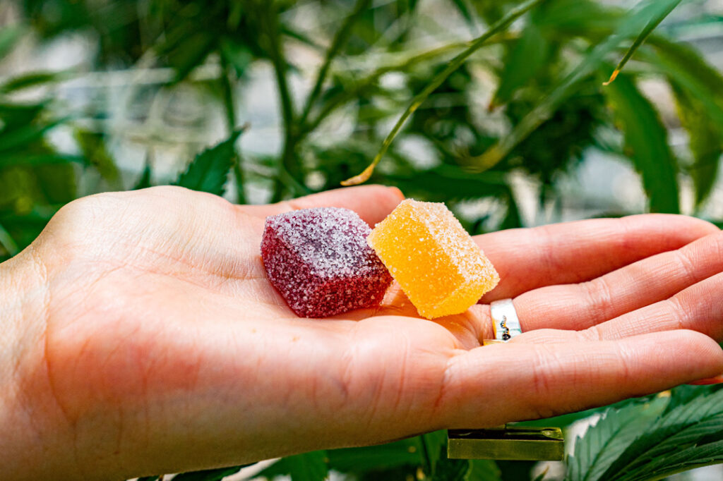 house of strains 420 deals edibles