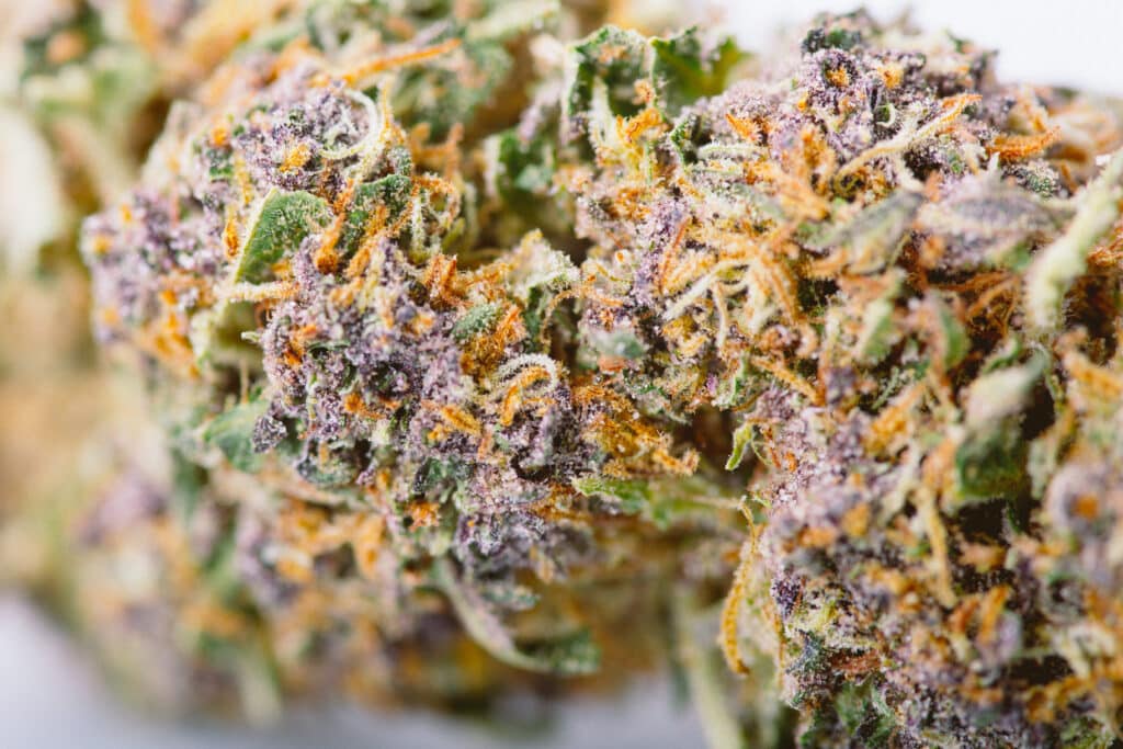 house of strains blog cannabis 101 in queens a friendly guide to first time shoppers understanding cannabis basics